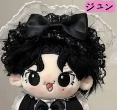 2025年最新】Seventeen ジュン ぬいぐるみ マスターの人気