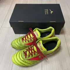 Item thumbnail for item 0b044684-0210-452c-bf6f-c518cf4e176c