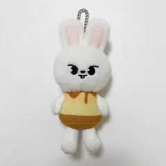 スキズ　MANIAC アンコン　リービット　バッグチャーム