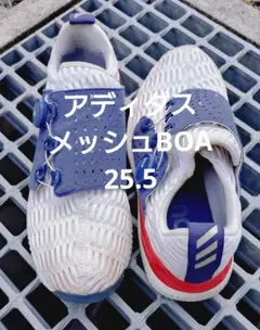 アディダス メッシュBOA シューズ 25.5cm 洗ってから保存しています