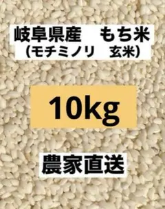 令和7年産 葉月みのり玄米30㎏ - メルカリ