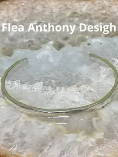 2026年最新】flea anthony designの人気アイテム - メルカリ