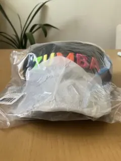 Zumba Core Dad Hat
