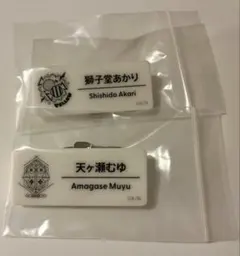 にじさんじ 天ヶ瀬むゆ 獅子堂あかり にじフェス 2025 ネームバッジ