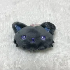 JOCHUM ピーハイ キャンディデザインシリーズ