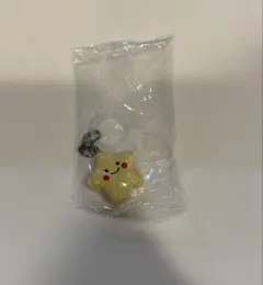 おべんとうの中身　めじるしアクセサリー2 お星さまポテト