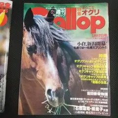 ゆりちゃん様 リクエスト 2点 まとめ商品