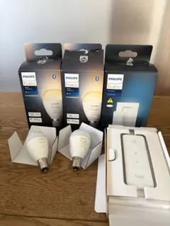 Philips Hue White Ambiance E17 電球＋スイッチ