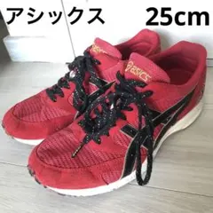アシックス ターサージャパン TJR076 ランニングシューズ 25cm レッド 2025年最新】ターサージャパン 25の人気アイテム - メルカリ