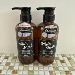 Item thumbnail for item bfd3c25a-e55d-4ea2-aceb-436e5deb70c1