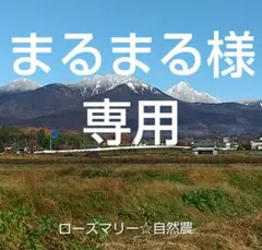 まるまる様 リクエスト 2点 まとめ商品