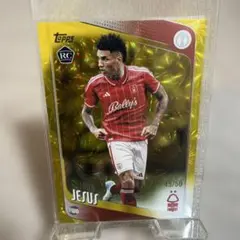 topps Jフラッグシップ アビスパ福岡 ドウグラスグローリ 5シリ オート