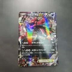 ワルビアルEX 044/XY-P ジム　プロモ