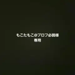 2026年最新】プロフ必読様専用の人気アイテム - メルカリ