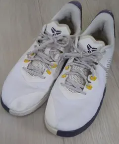 NIKE マンバ フューリー EP レイカーズ ホーム 【サイズ26cm】 - メルカリ