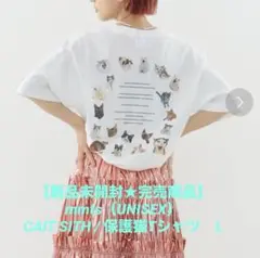 【新品未開封★完売商品】mmts UNISEXCAITSITH 保護猫Tシャツ