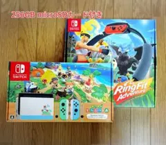 Nintendo Switch あつ森バージョン＆リングフィットアドベンチャー