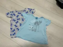 Item thumbnail for item ed9b0819-39a1-488c-b577-4fafce089e9f