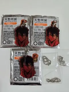 天野明展 家庭教師ヒットマンREBORN アクリルチャーム XANXUS - メルカリ