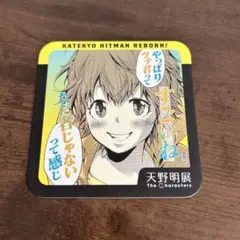 家庭教師ヒットマンReborn! 笹川京子 コースター