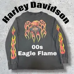 2025年最新】ハーレー ロンt usaの人気アイテム - メルカリ