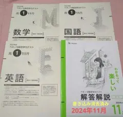 2024年度 11月 高2 進研模試 全教科 問題解答 セット 新品 未使用品 2025年最新】進研模試 11月 2024の人気アイテム - メルカリ