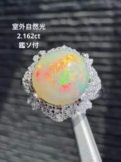 オリムピック、長寿峰10尺、純龍心観12尺、2本セット - メルカリ