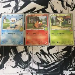 ポカブ ミジュマル ツタージャ スプリングフェア イトーヨーカドー