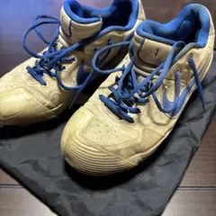 ナイキ 野球 スパイク オーダー