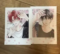 たまらないのは恋なのか チェキ 特典 TSUTAYA 特典3種】たまらないのは恋なのか 特典 リーフレット チェキ風