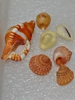 HIROKO HASHIMOTO様 リクエスト 4点 まとめ商品