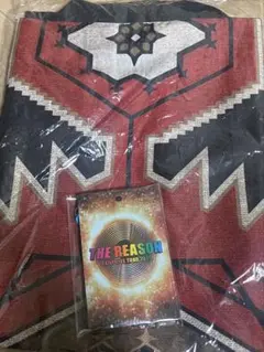 exile tシャツreason