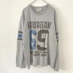 チームゴッデス ロンT ロゴ　グレー M サーフ アメカジ ペイズリー　ハワイのサムネイル