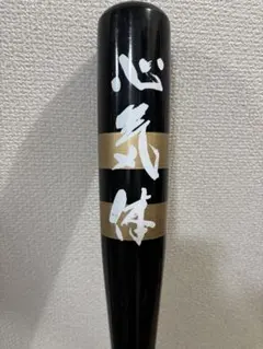 Item thumbnail for item a5d6d401-9400-45fd-bd20-b992b077586f