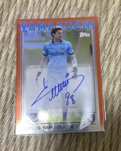 Item thumbnail for item e561ee63-0224-454e-a03d-a99ba4ebd70c