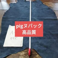 Item thumbnail for item dfcb3669-cd1a-4f26-9608-7472519606b0