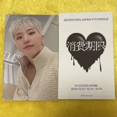 SEVENTEEN 消費期限 会場限定トレカ 　 大阪 ユニバ ホシ