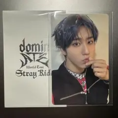 Stray Kids スキズ ワルツ 特典トレカ エコパ 静岡 ハン HAN