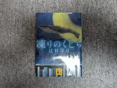 メグメグ様 リクエスト 2点 まとめ商品