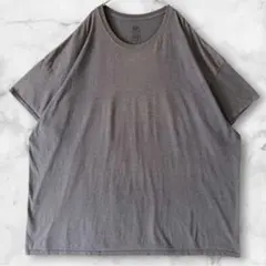 Fruit of the Loom 半袖Tシャツ ビッグシルエット 4XLグレーのサムネイル