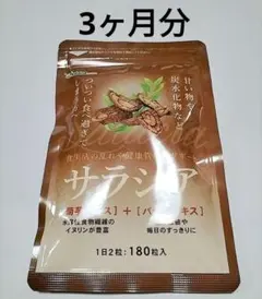 新品　サラシア 3ヵ月分 サプリ シードコムス 菊芋エキス バナバエキスのサムネイル