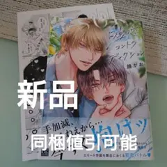 新品☆嘘恋コントラディクション/幾がお/BL 漫画/初回特典ペーパー☆
