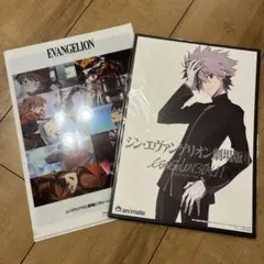 シン・エヴァンゲリオン劇場版 アニメイト購入者特典 渚カヲル　クリアファイル