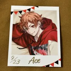 ツイステッドワンダーランド ツイステ フォト風カード エース・トラッポラ 1枚