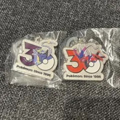 ポケモン30周年 メタルチャームマスコット パルデア コライドン ミライドン