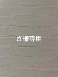 さ様専用
