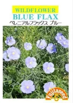 ぽぷこ様 リクエスト 2点 まとめ商品