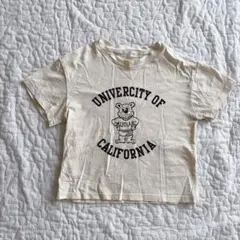 ucla 110