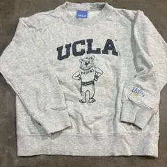 UCLA クマ デザイン スウェット