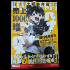 【非売品】ハナバス　非売品ポスター　B3程度